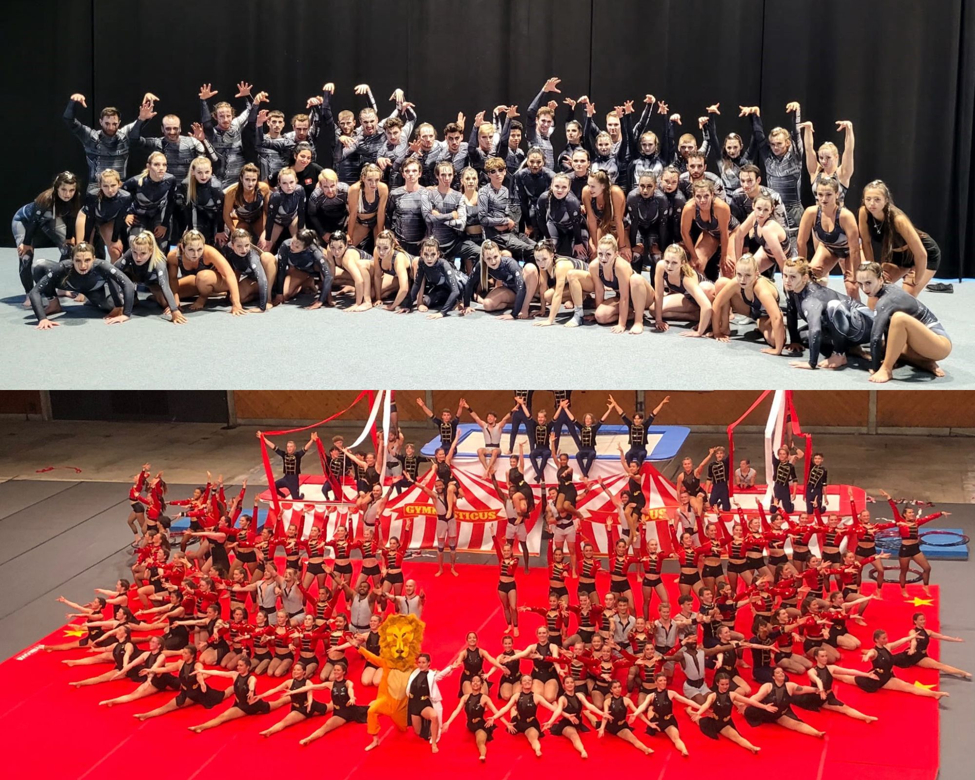 Gymnastique: L'Est vaudois sera bien représenté à la 17ème "World Gymnaestrada"